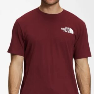 Polera the north face